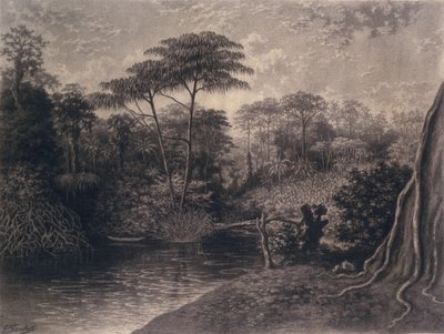 View of the Cameroon River, Ambes Bay, Africa by Emma Sandys